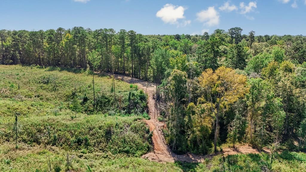 Small Hunting Tract in Amite County, MS