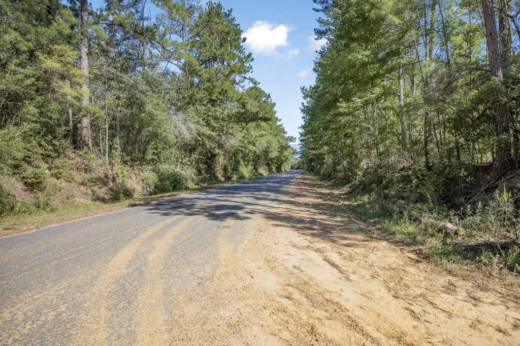 Small Hunting Tract in Amite County, MS