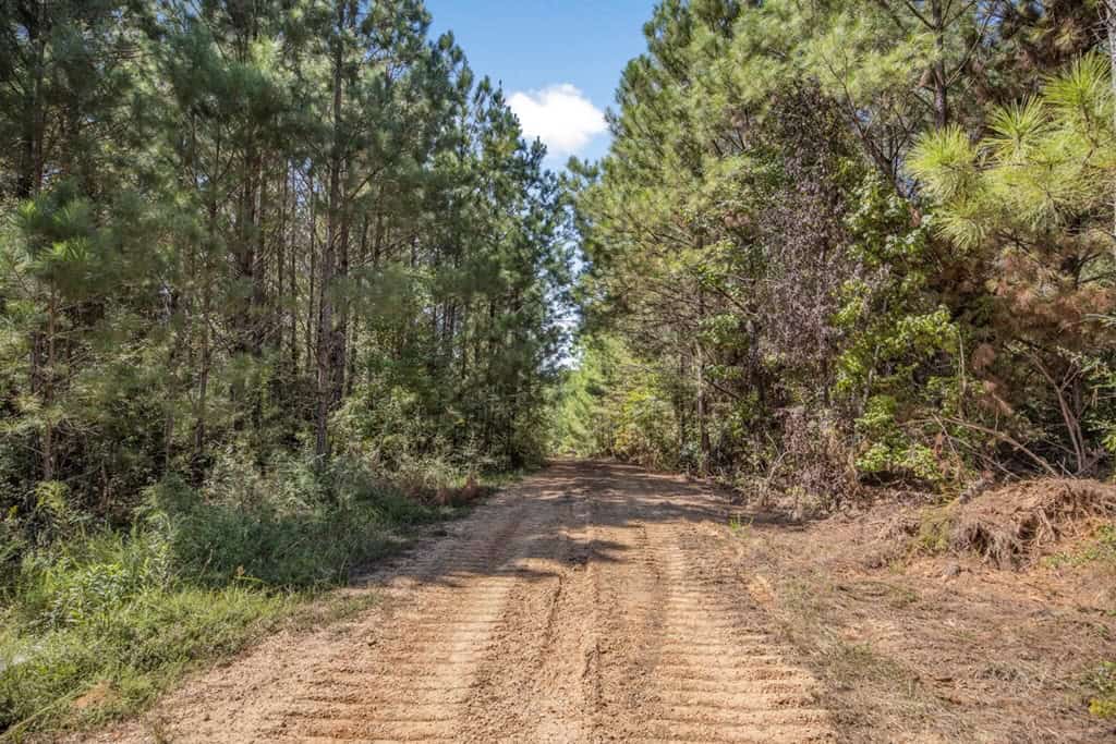 Turnkey Hunting Property Connected to Caston Creek WMA