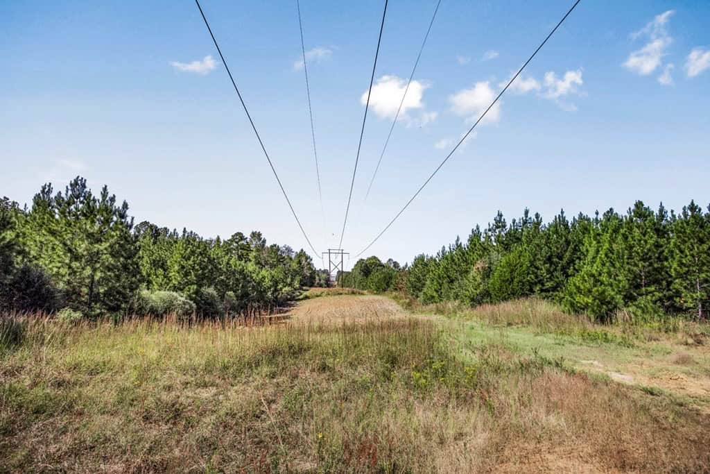Affordable Hunting Property Adjoining National Forest