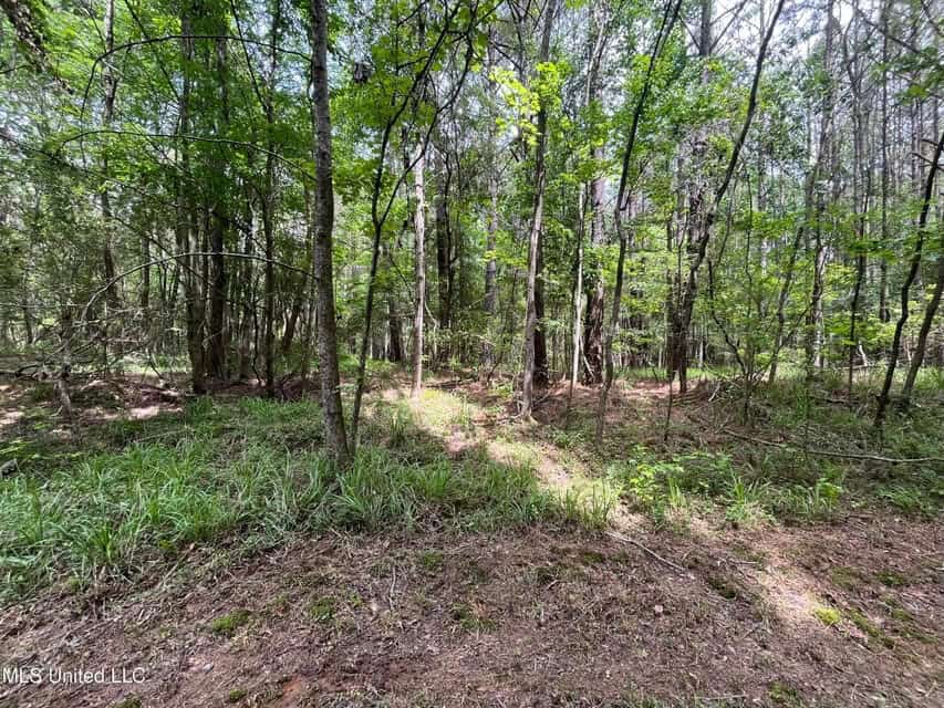 28 Acres in Hinds County