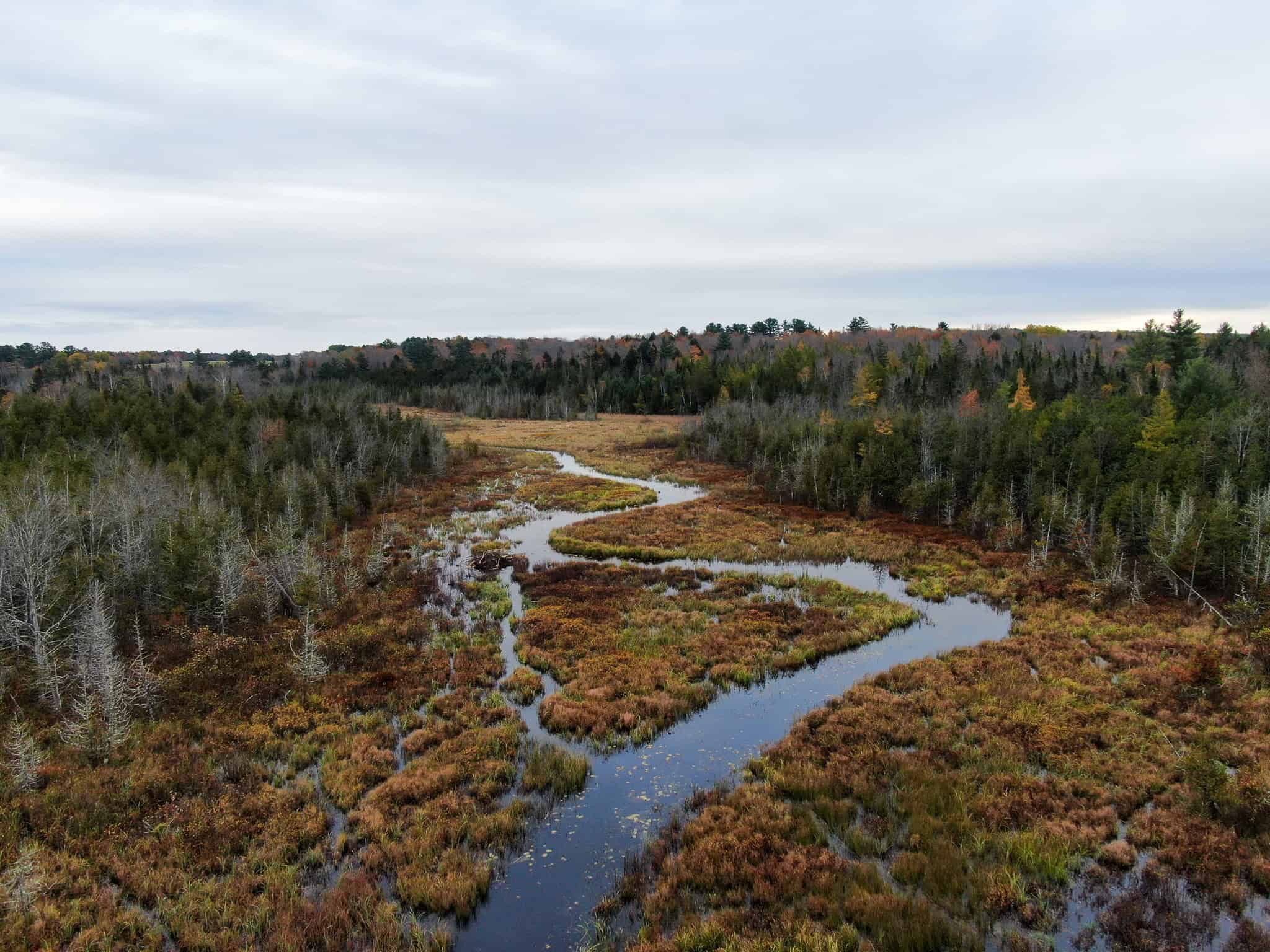 Homestead & Hunting Land in Central Maine