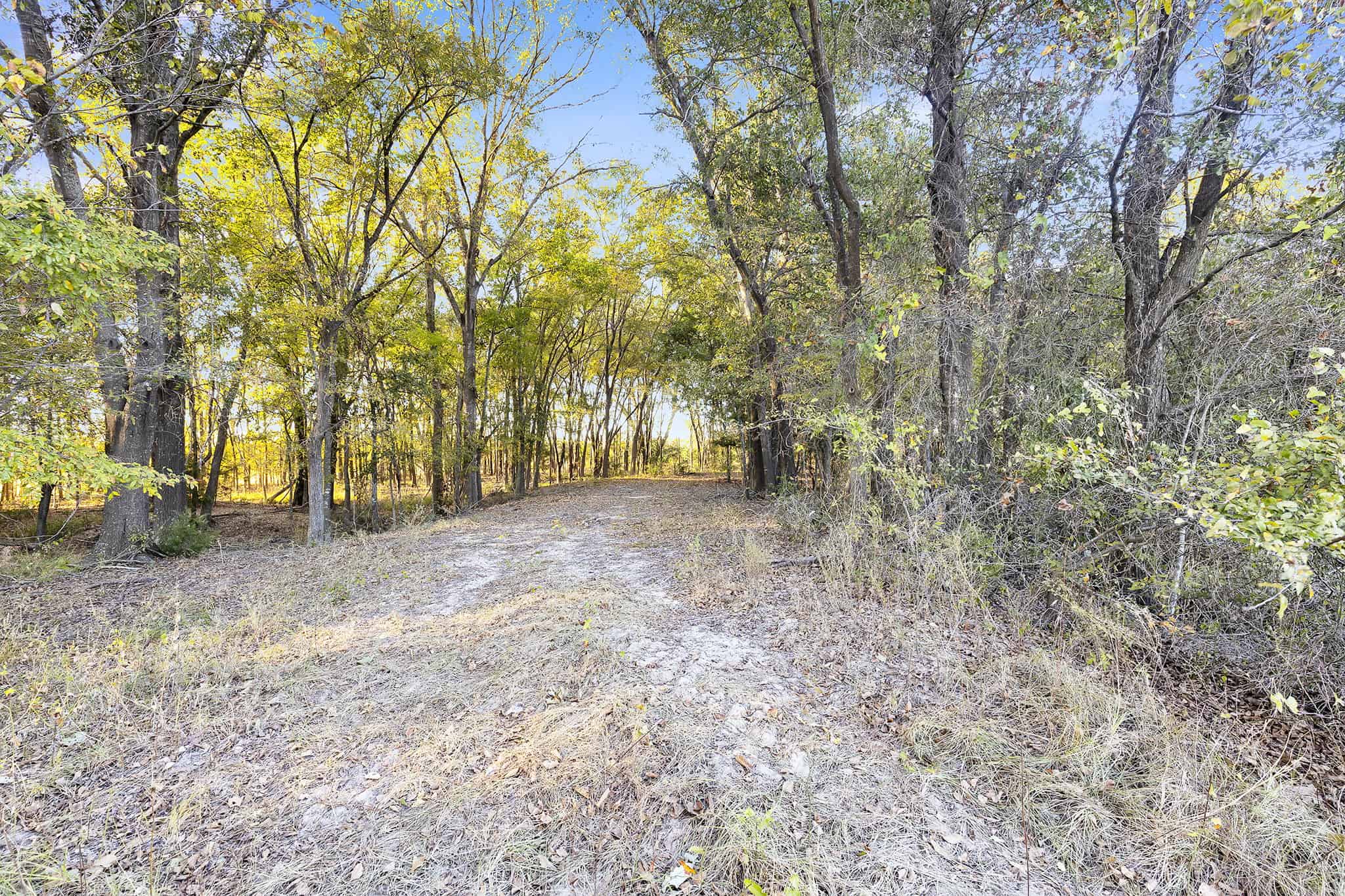 SOLD! Texas Land for Sale East of Dallas Near Ben Wheeler