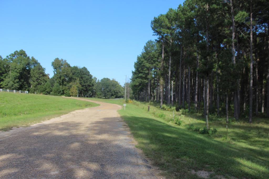 50 Acre Riverfront Property For Sale Simpson County, Mississippi