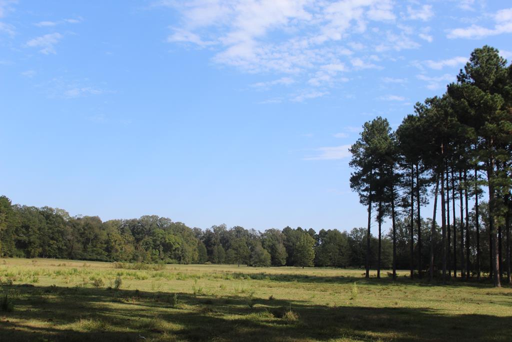 50 Acre Riverfront Property For Sale Simpson County, Mississippi