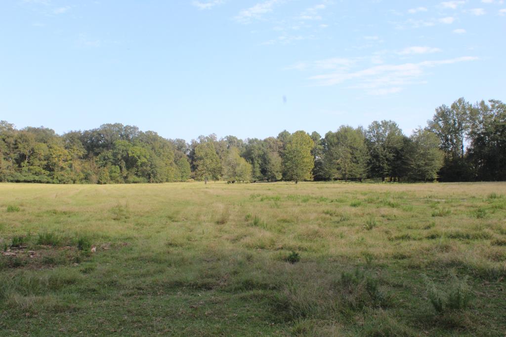50 Acre Riverfront Property For Sale Simpson County, Mississippi