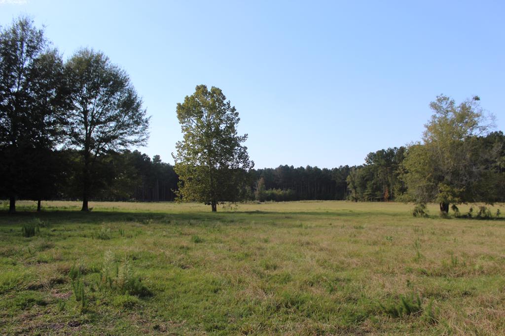 50 Acre Riverfront Property For Sale Simpson County, Mississippi