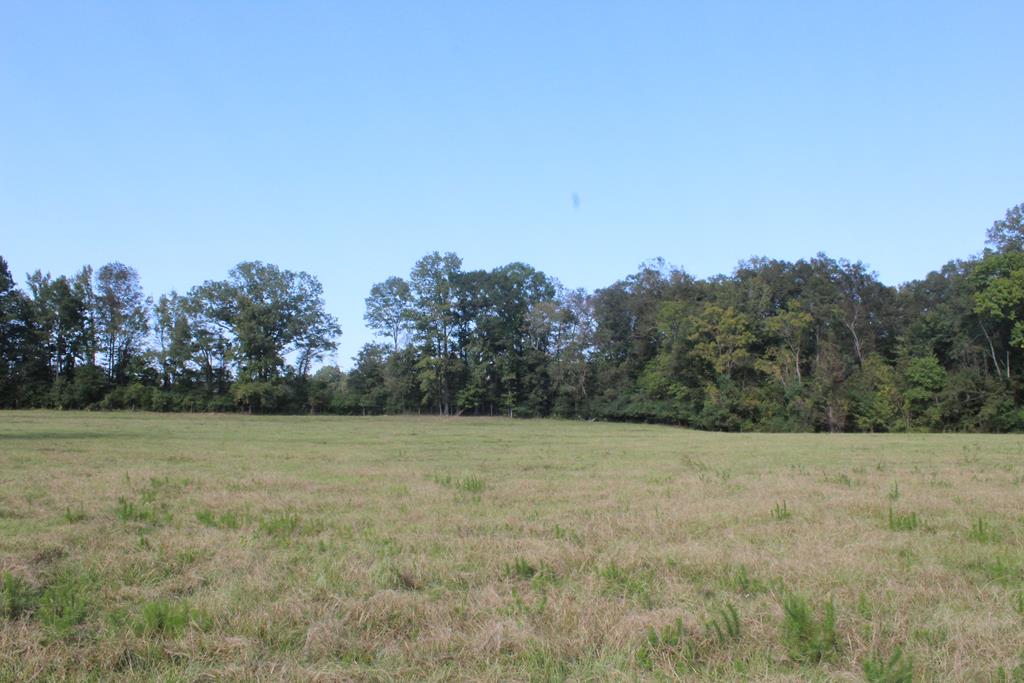 50 Acre Riverfront Property For Sale Simpson County, Mississippi