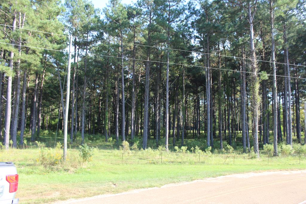 50 Acre Riverfront Property For Sale Simpson County, Mississippi