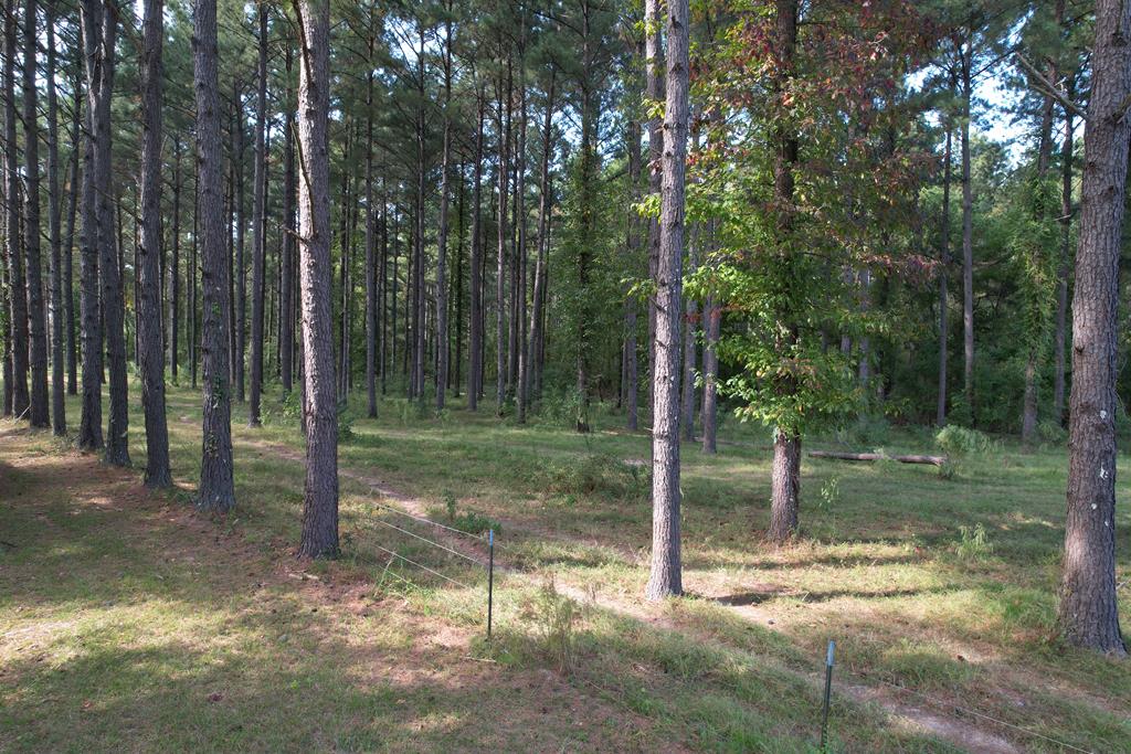 50 Acre Riverfront Property For Sale Simpson County, Mississippi