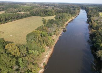 Riverfront Property For Sale with Open Pasture Fishing & Hunting Simpson County Mississippi