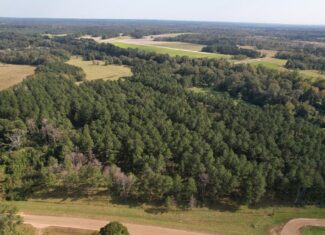 Riverfront Property For Sale with Open Pasture Fishing & Hunting Simpson County Mississippi