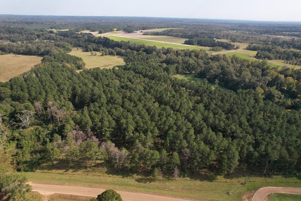 50 Acre Riverfront Property For Sale Simpson County, Mississippi