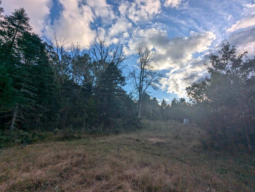 MFL Timberland Property For Sale in Portage County