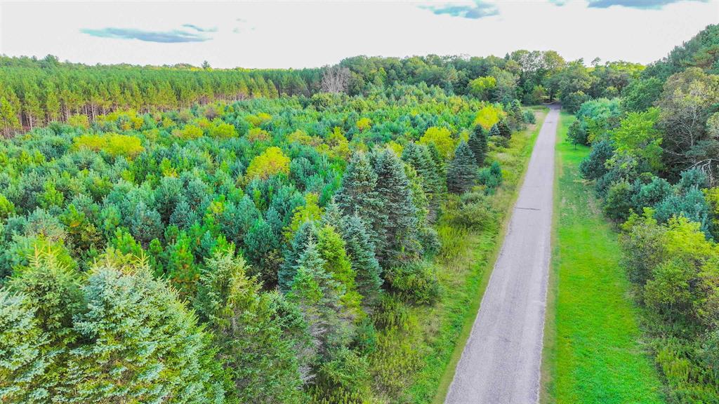 MFL Timberland Property For Sale in Portage County