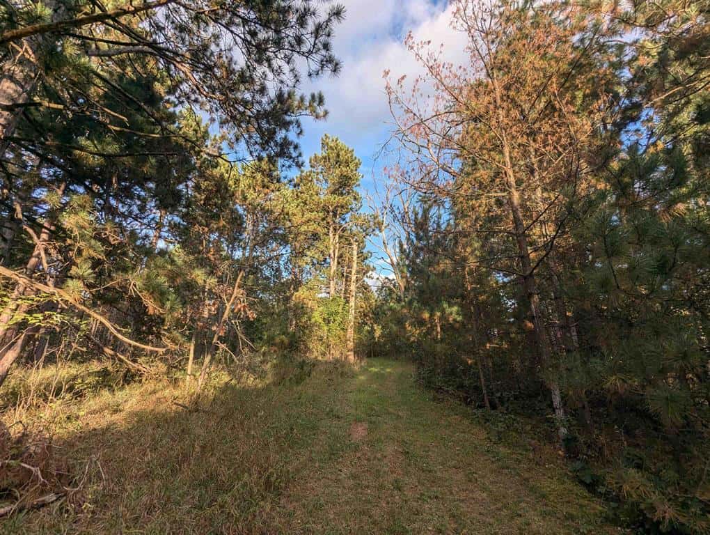 MFL Timberland Property For Sale in Portage County
