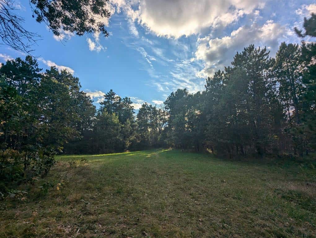 MFL Timberland Property For Sale in Portage County