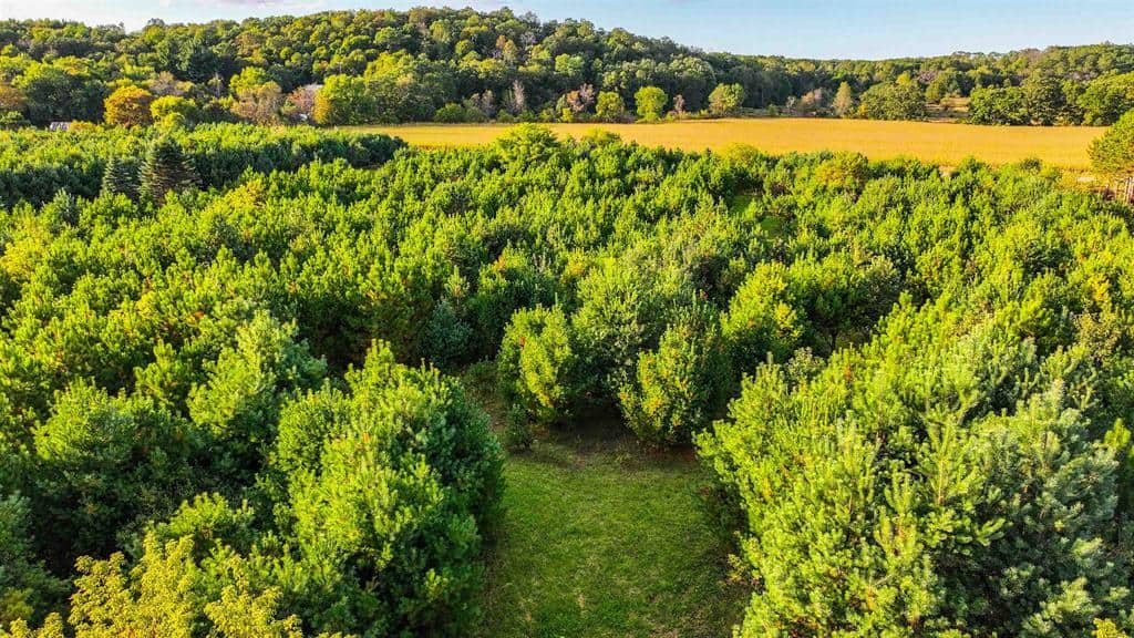 MFL Timberland Property For Sale in Portage County