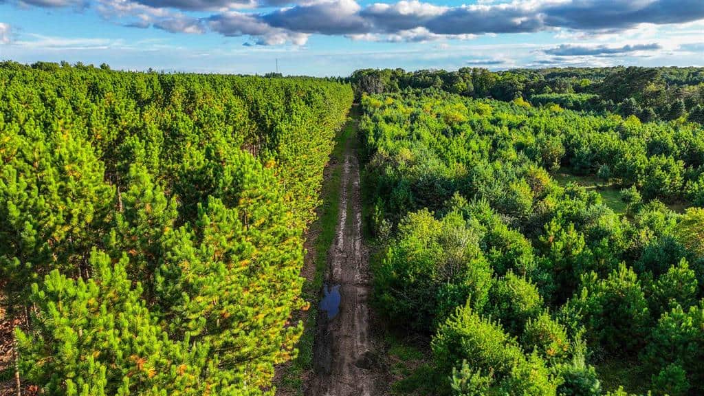 MFL Timberland Property For Sale in Portage County