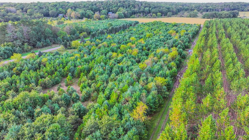 MFL Timberland Property For Sale in Portage County
