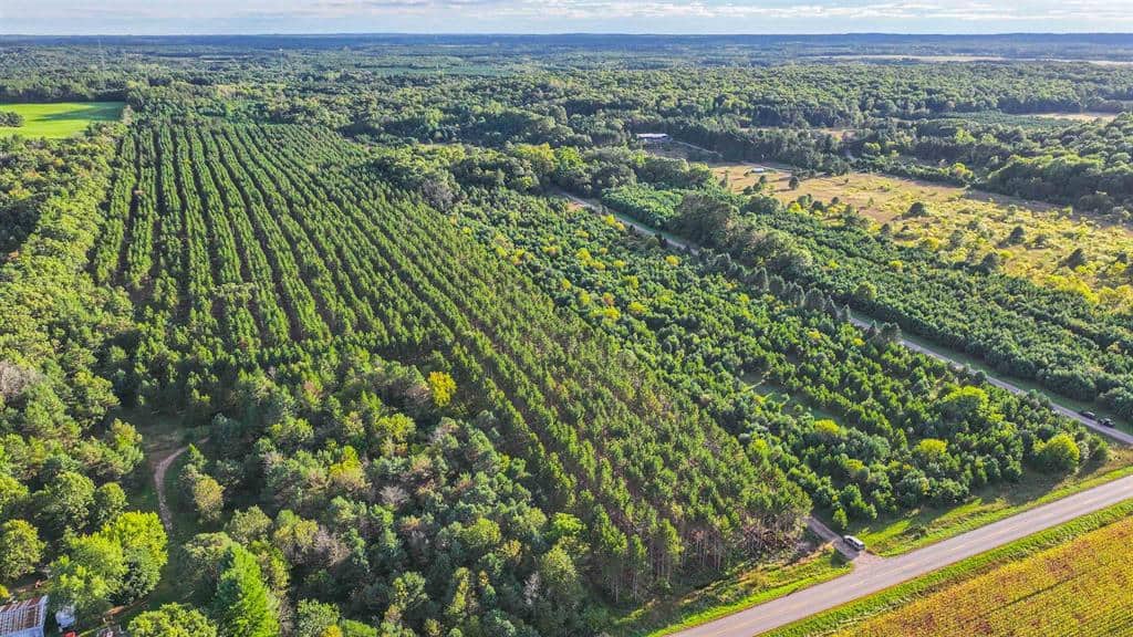 MFL Timberland Property For Sale in Portage County