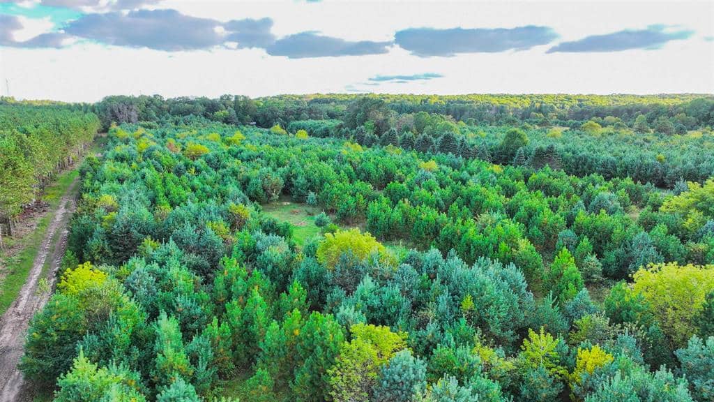 MFL Timberland Property For Sale in Portage County