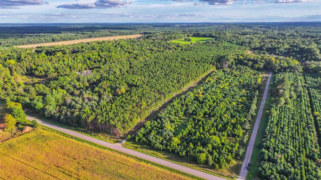 MFL Timberland Property For Sale in Portage County