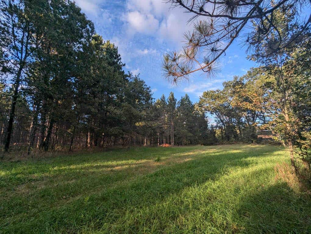 MFL Timberland Property For Sale in Portage County