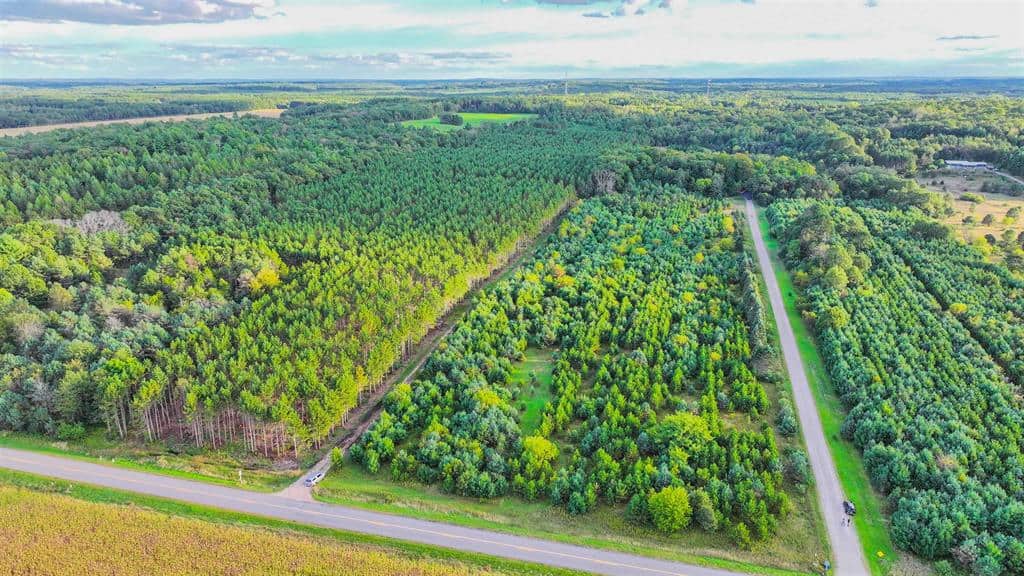 MFL Timberland Property For Sale in Portage County