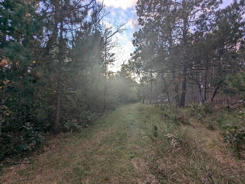 MFL Timberland Property For Sale in Portage County