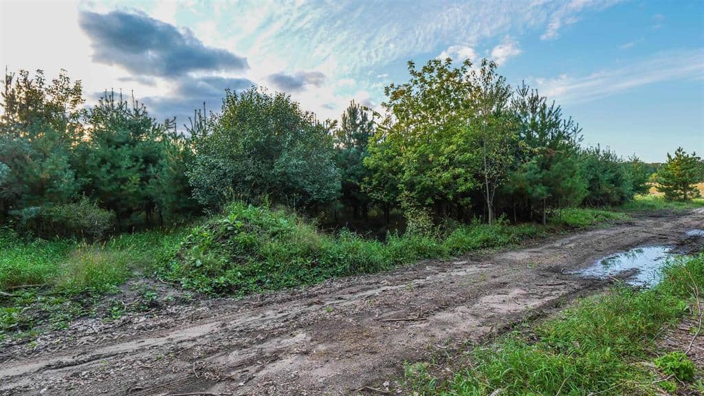 MFL Timberland Property For Sale in Portage County