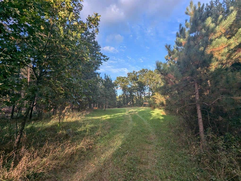 MFL Timberland Property For Sale in Portage County