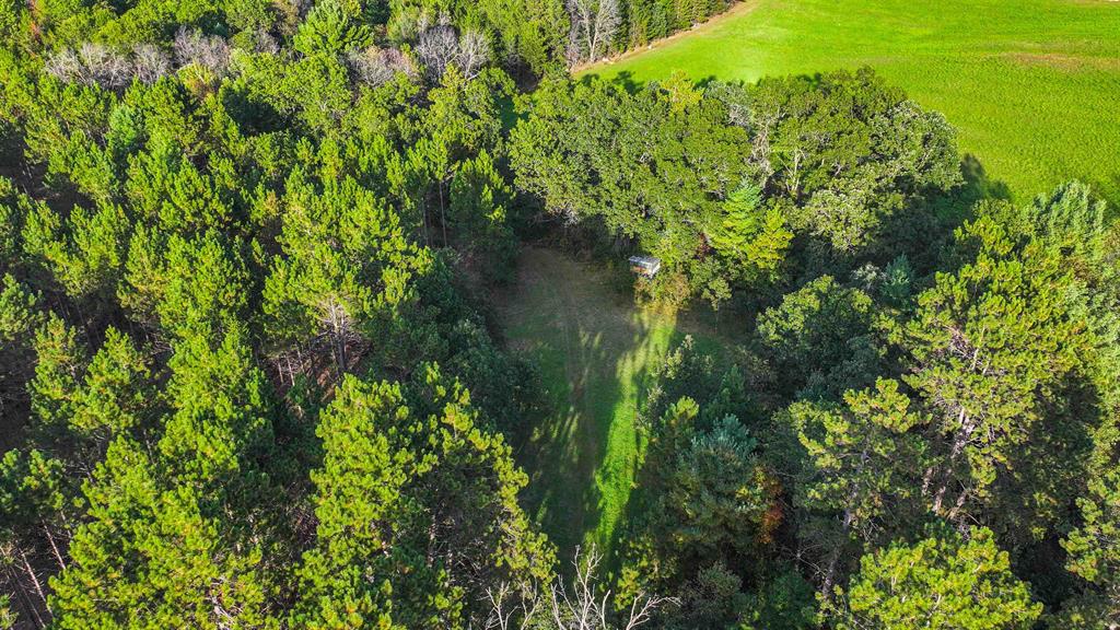 MFL Timberland Property For Sale in Portage County