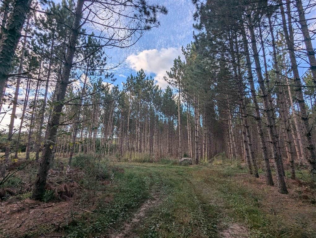 MFL Timberland Property For Sale in Portage County