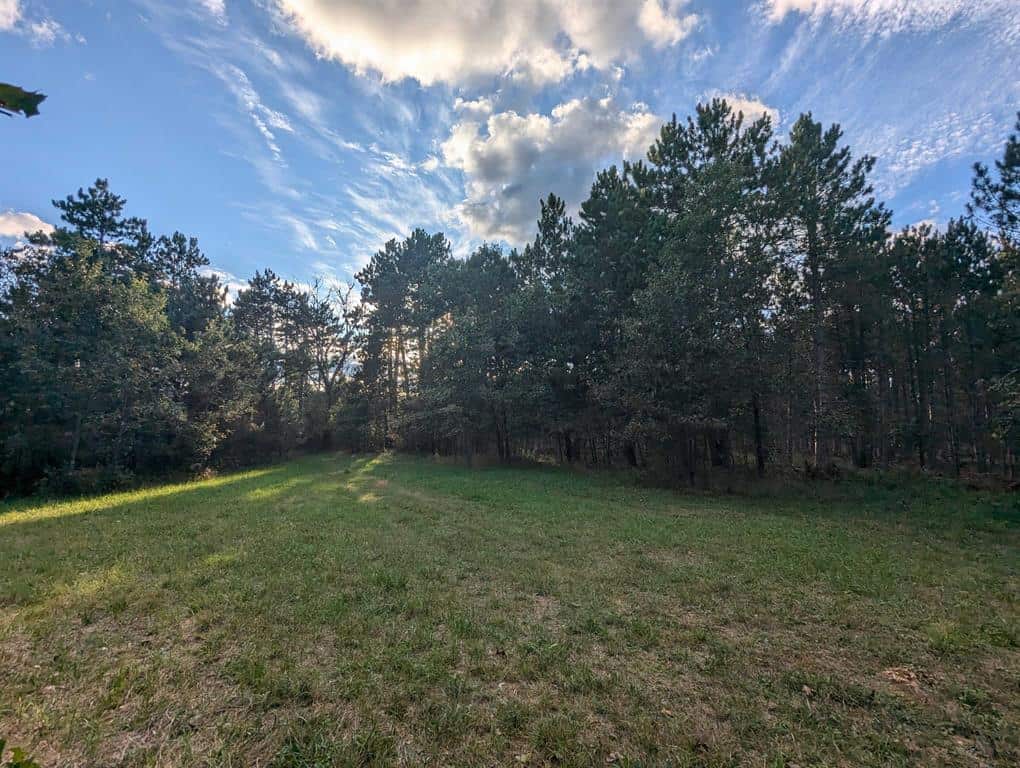 MFL Timberland Property For Sale in Portage County
