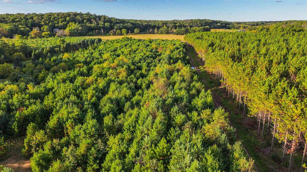 MFL Timberland Property For Sale in Portage County