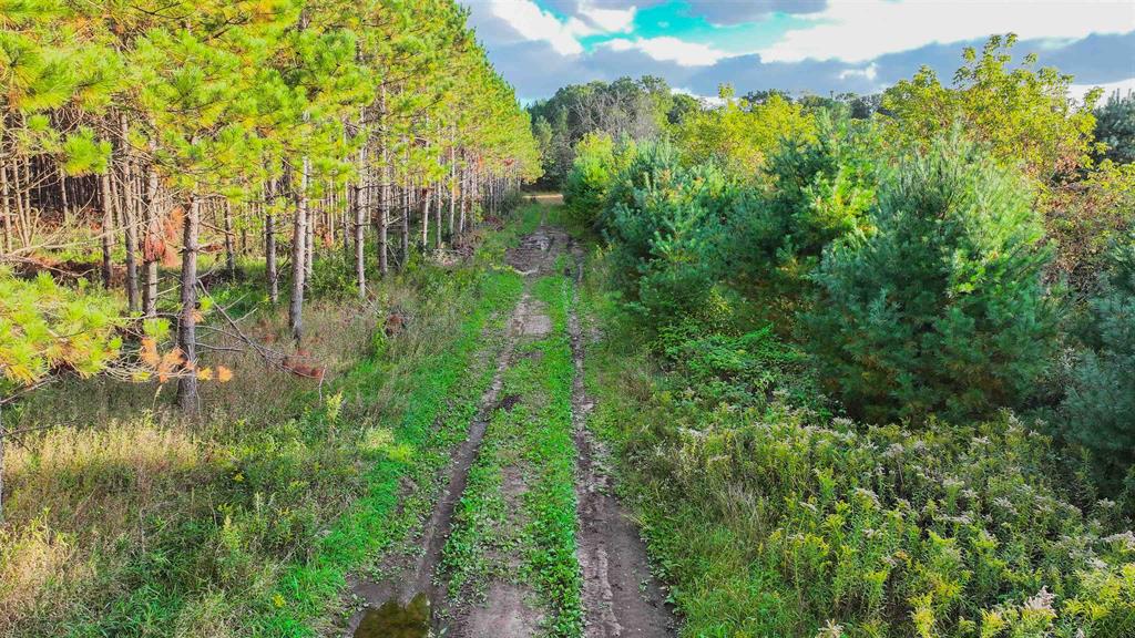 MFL Timberland Property For Sale in Portage County