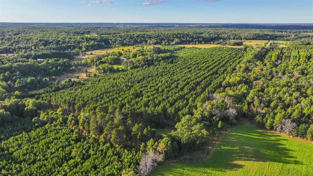 MFL Timberland Property For Sale in Portage County