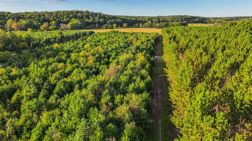 MFL Timberland Property For Sale in Portage County