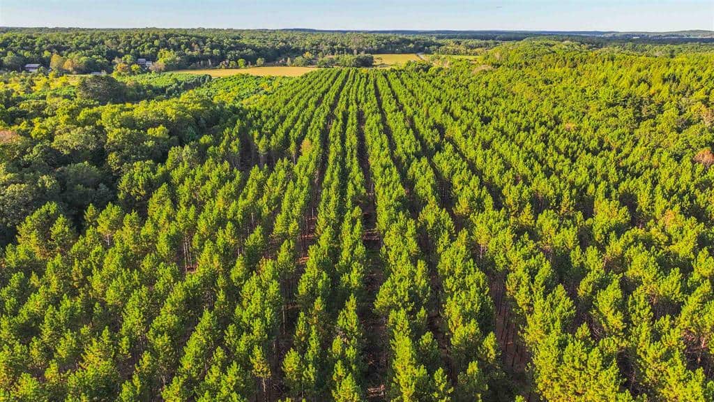 MFL Timberland Property For Sale in Portage County