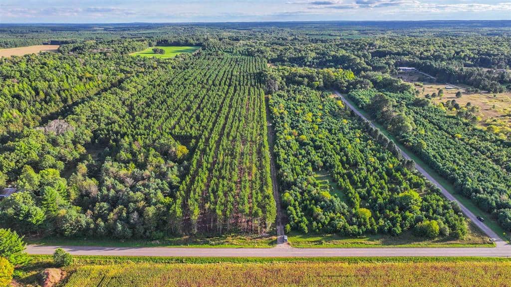 MFL Timberland Property For Sale in Portage County