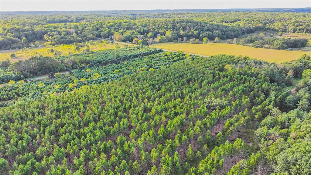 MFL Timberland Property For Sale in Portage County