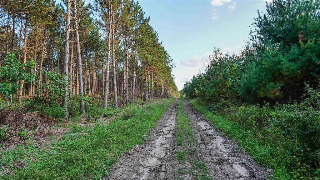 MFL Timberland Property For Sale in Portage County