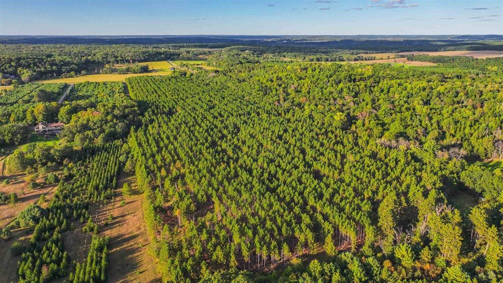 MFL Timberland Property For Sale in Portage County