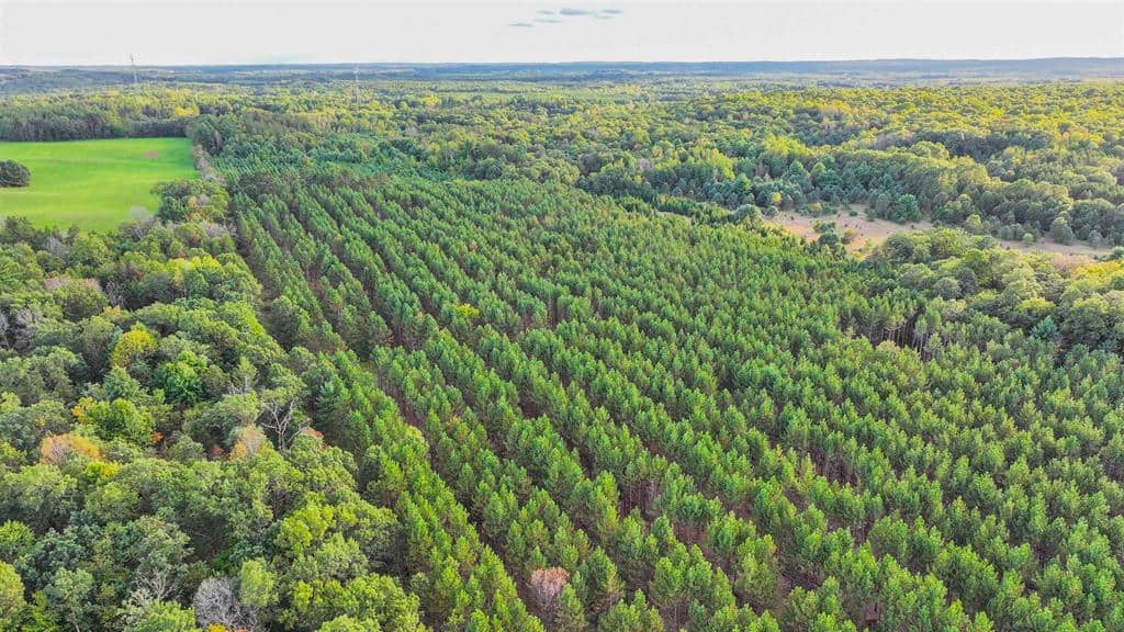 MFL Timberland Property For Sale in Portage County
