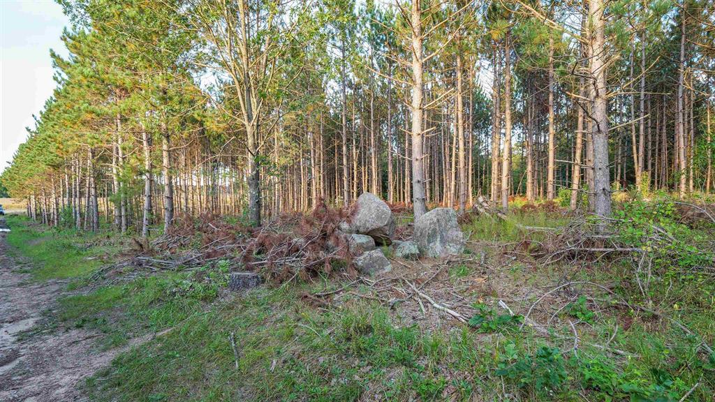 MFL Timberland Property For Sale in Portage County