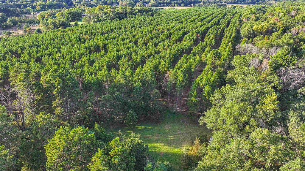 MFL Timberland Property For Sale in Portage County