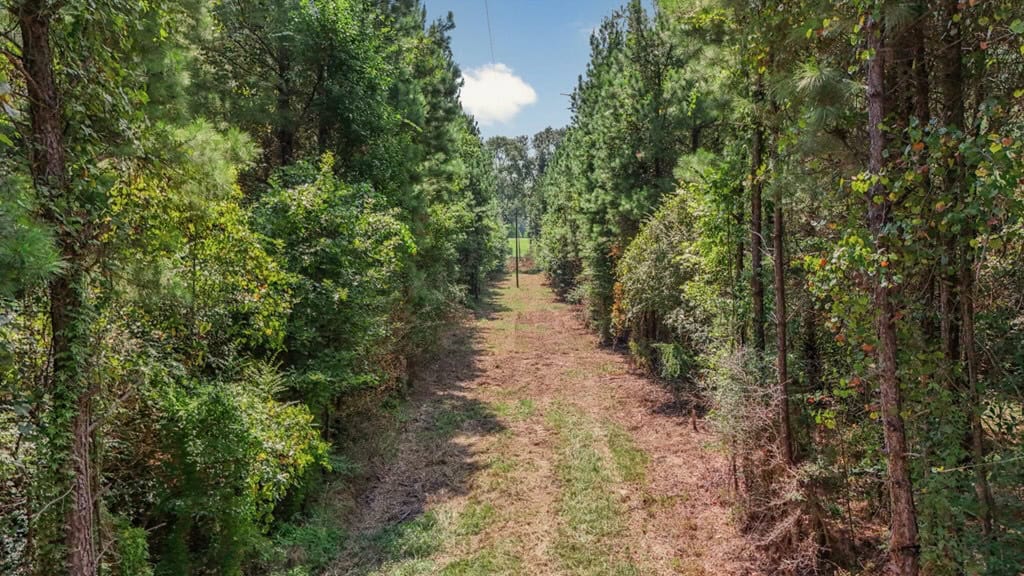 137 Acres for Sale with Comite River Frontage
