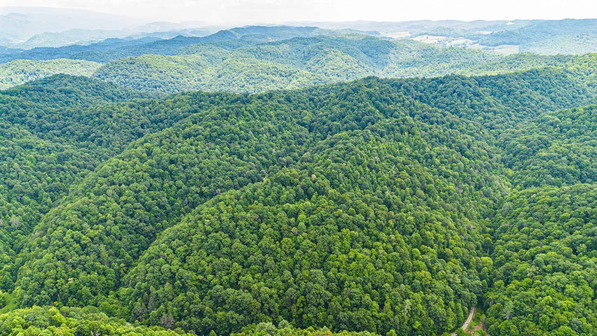 Building Lot for Sale in Bristol VA