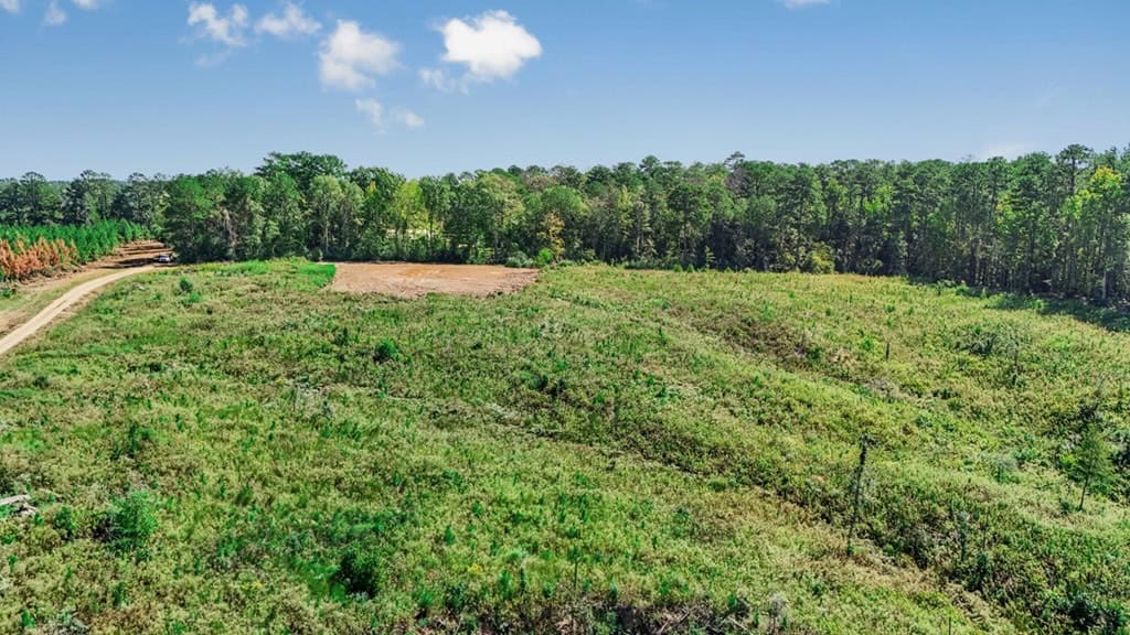 Small Hunting Tract in Amite County, MS